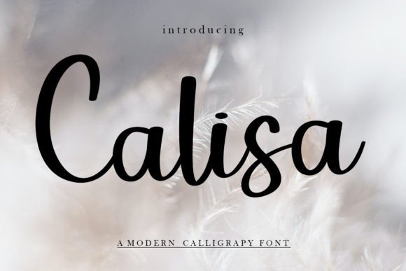 Calisa: A Friendly Font for Business