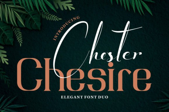 Chesire Font: Elegant Type for Business