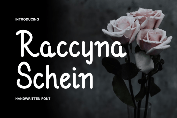Raccyna Schein: A Bold Display Font