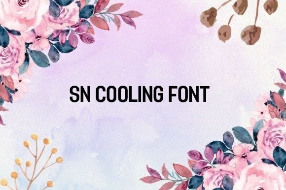 Sn Cooling: A Font for Business Beauty